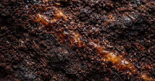 Natural organic compounds associated with fulvic acid in shilajit